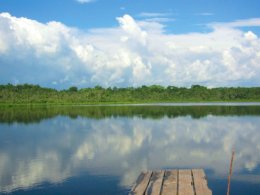 Manatee_Waterway.jpg