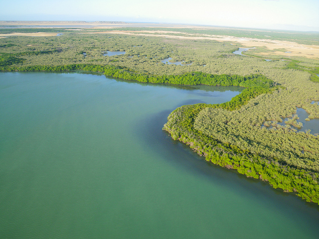 Guajira