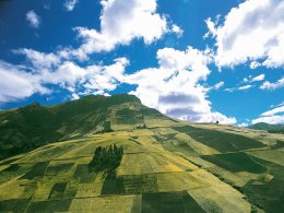 Ecuador_Patchwork_paddocks.jpg