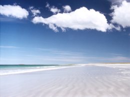 Falklands_Beach.jpg