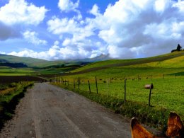 Ecuador_Country_Road.jpg