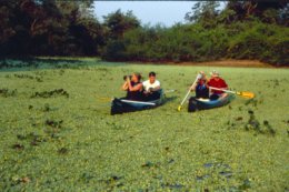 Pantanal_Canoes.jpg