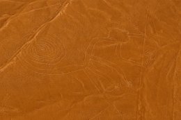 Nasca_Monkey.jpg