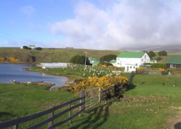 Falklands_Farm.jpg