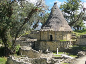 Peru Bird Tour