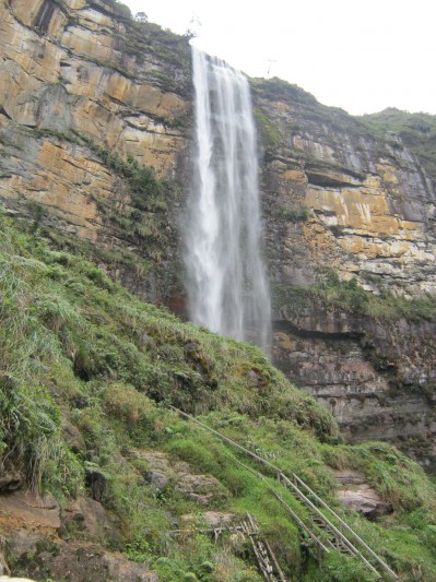 Peru Bird Tour